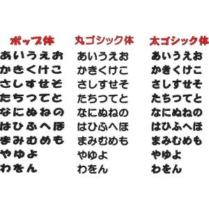 オーダー/おなまえ刺繍ワッペンかなカナ用/長方...の詳細画像3