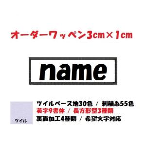 カット】【小】スポーティオーダーネームアイロンワッペン☆Sporty