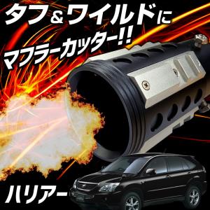 柿本改 KRノーブルエリッセ ブラックダイヤ マフラー ハリアー DBA