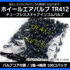 TECH（テック） 【TECH】チューブレスバルブ ○TR-413 ○100個/1袋