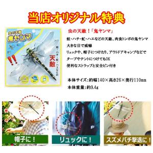 【店舗オリジナル特典 虫よけ「鬼ヤンマ」+洗剤...の詳細画像1