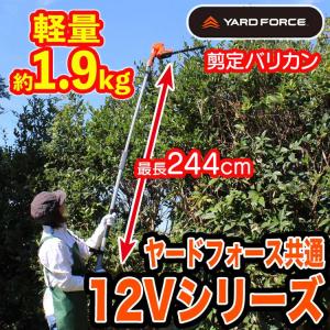 【店舗オリジナル特典 虫よけ「鬼ヤンマ」+洗剤...の詳細画像2