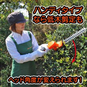 【店舗オリジナル特典 虫よけ「鬼ヤンマ」+洗剤...の詳細画像3
