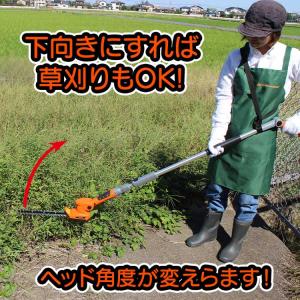 【店舗オリジナル特典 虫よけ「鬼ヤンマ」+洗剤...の詳細画像4