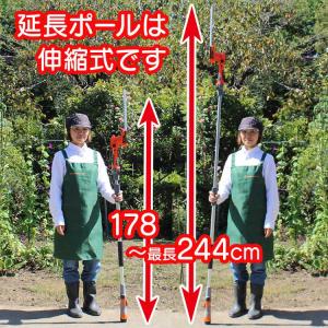 【店舗オリジナル特典 虫よけ「鬼ヤンマ」+洗剤...の詳細画像5