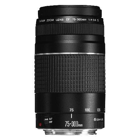【平行輸入品】Canon 一眼レフカメラ用レンズ 6473A003[AA] ブラック