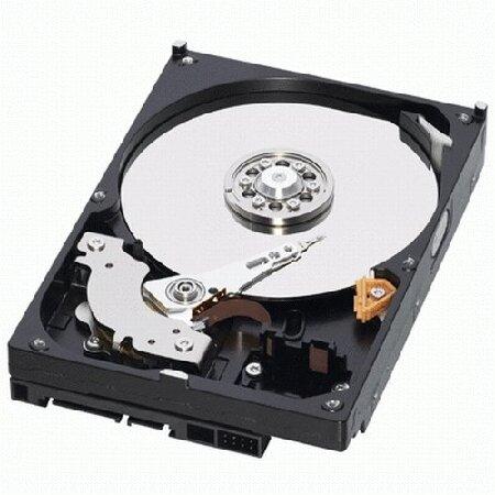 Western Digital RE3 Enterprise 250 GB 3.5-Inch, 16...