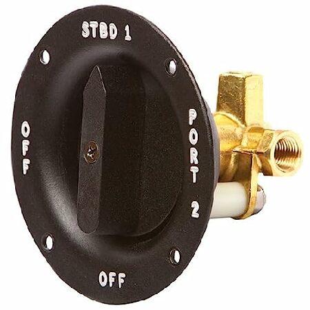 【平行輸入品】R &amp; R DESIGN 補助バルブ 100FSV