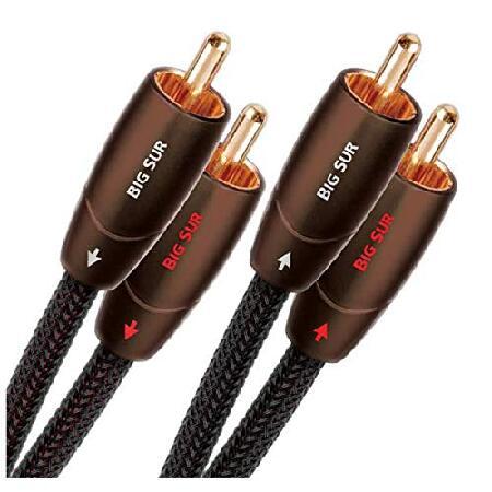 【平行輸入品】AudioQuest RCAケーブル BIGSUR01R