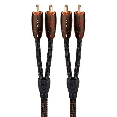 【平行輸入品】AudioQuest Big Surオーディオ相互接続5?M (16?' 5?") R...