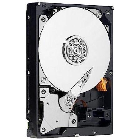 【平行輸入品】HD 3.5 160Gb WD WD1600AVCS 16mb AV-GP