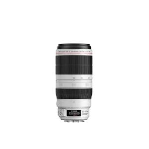 キヤノン EFレンズ EF300mm F4L IS USM 交換レンズ - 最安値・価格比較