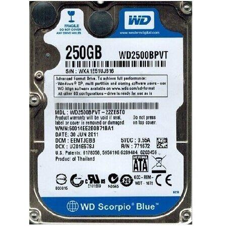 WESTERN DIGITAL WD2500BPVT ウエスタンデジタル 蠍座ブルー WD2500B...