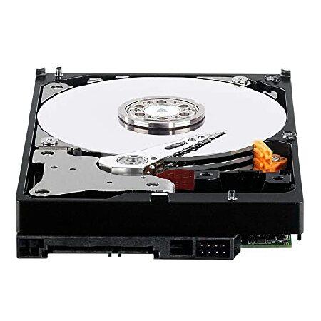 【平行輸入品】Western Digital 500GB SATA 3.5 Hard Drive -...