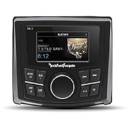 【平行輸入品】Rockford Fosgate リモコン PMX-1R ブラック