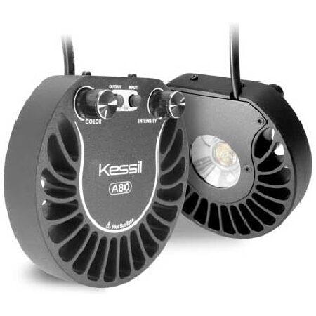 【平行輸入品】Kessil Tuna Sun A80 LED Light w/Mini goosen...