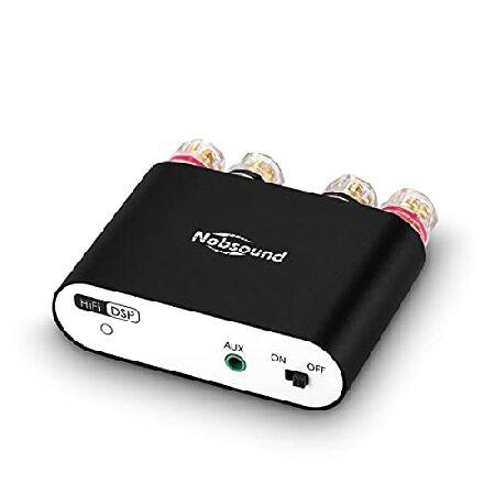 【平行輸入品】Nobsound NS-10G PRO Hi-Fi DSP 100W (50W x 2...