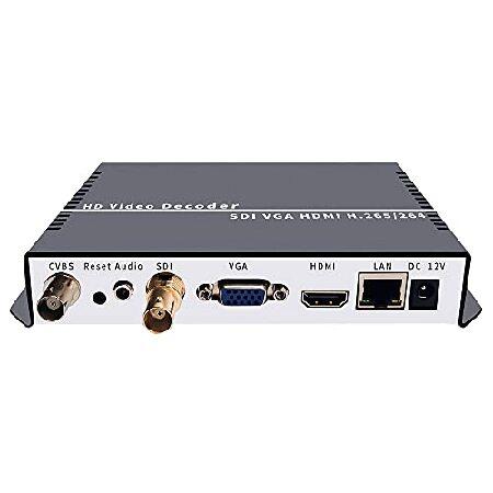 【平行輸入品】iseevy ビデオコンバーター ISV-HVSD5