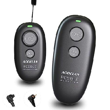 【平行輸入品】Camera Remote Control Wireless Shutter for ...