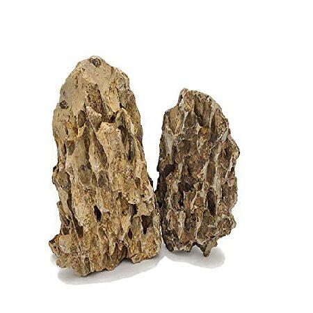 【平行輸入品】Lifegard Aquatics Dragon Ohko Aquascaping R...