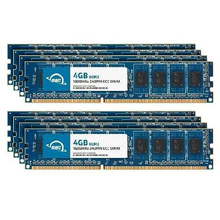 【平行輸入品】OWC メモリー OWC1E6D31R8032K-B255-SF