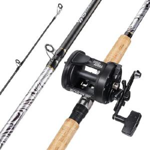銀影MT 大鮎100 DAIWA（釣り） ダイワ 鮎竿 銀影 MT 大鮎 100 : つり具の銭屋