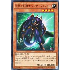 遊戯王オフィシャルカードゲーム デュエルモンスターズ 遊戯王カード