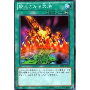 遊戯王オフィシャルカードゲーム デュエルモンスターズ 遊戯王カード