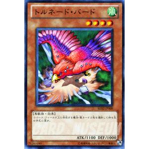 遊戯王オフィシャルカードゲーム デュエルモンスターズ 遊戯王カード