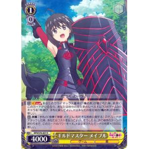 ヴァイスシュヴァルツ 痛いのは嫌なので防御力に極振りしたいと思い