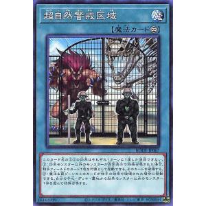 ヴァイスシュヴァルツ 電撃文庫 “運命の記述” 黒猫(C) Goi/WS02-066