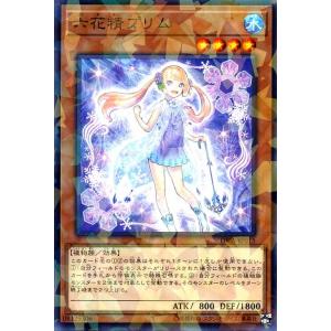 遊戯王オフィシャルカードゲーム デュエルモンスターズ 遊戯王ラッシュ