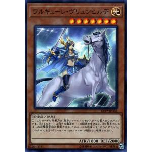遊戯王オフィシャルカードゲーム デュエルモンスターズ 遊戯王カード