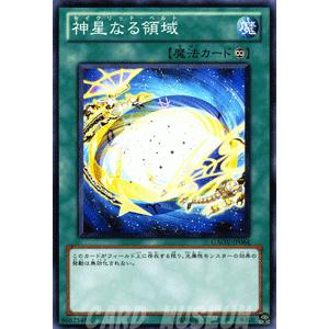 遊戯王オフィシャルカードゲーム デュエルモンスターズ 遊戯王カード