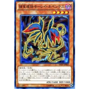 遊戯王 捕食植物モーレイ・ネペンテス インベイジョン・オブ・ヴェノム INOV シングルカード INOV-JP007-N｜trade-lab-japan