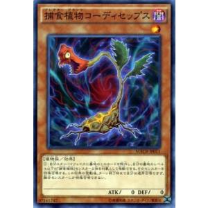 遊戯王　公式　デュエルフィールド 41HM0GjF0rL._UY250_SCLZZZZZZZ_.jpg