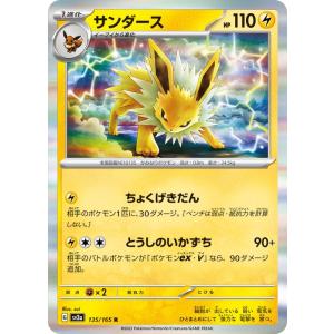 ポケモンカードゲーム サンダー R 027/066 : メモリーオンライン