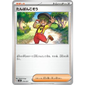 ポケモンカードゲーム ポケモンカード svA スターターセットex
