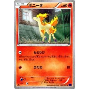 Pokemon（ポケモン） ポケモンカードXY ギャロップ / 爆熱の闘士