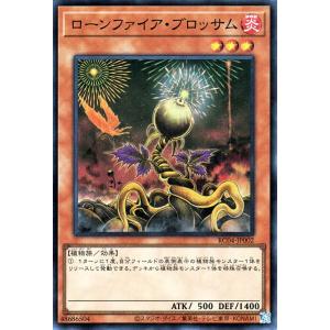 遊戯王オフィシャルカードゲーム デュエルモンスターズ 遊戯王 儀式の