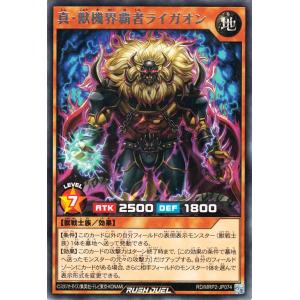 コナミデジタルエンタテインメント 遊戯王 VJMP-JP283 亜空間バトル