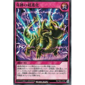 遊戯王ラッシュデュエル 奇跡の超進化(ノーマル)...の商品画像