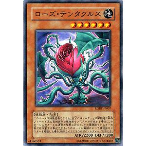 遊戯王オフィシャルカードゲーム デュエルモンスターズ 遊戯王カード