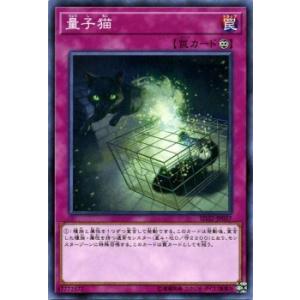 遊戯王 ストラクチャーデッキR 量子猫 ノーマル サイバース・リンク SD32