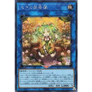 遊戯王カード セラの蟲惑魔(シークレットレア) 蟲惑魔の森（SD45） こわくまのもり リンク・効果...