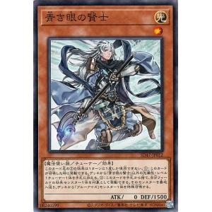 遊戯王オフィシャルカードゲーム デュエルモンスターズ 遊戯王カード