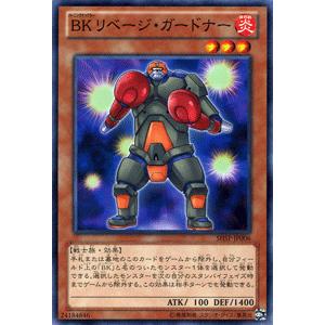 遊戯王オフィシャルカードゲーム デュエルモンスターズ 遊戯王 遊戯王オフィシャルカードゲーム デュエルモンスターズ 遊戯王