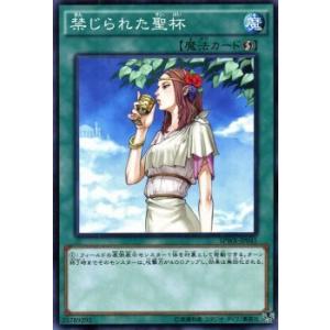 遊戯王 禁じられた聖杯 ウィング・レイダーズ SPWR シングルカード SPWR-JP041-N