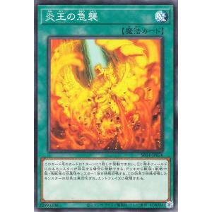 遊戯王オフィシャルカードゲーム デュエルモンスターズ 遊戯王カード