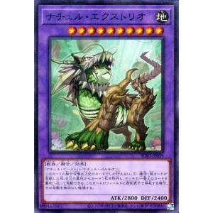 遊戯王オフィシャルカードゲーム デュエルモンスターズ 遊戯王カード